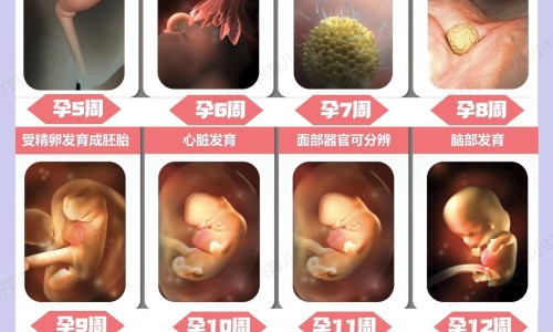 十个月宝宝口腔溃疡图网- 十个月宝宝口腔溃疡图片真实知识,分享十个月宝宝口腔溃疡图片大全
