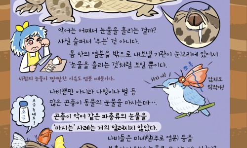 10个月宝宝口腔溃疡-十个月宝宝口腔溃疡图网- 十个月宝宝口腔溃疡图片真实知识,分享十个月宝宝口腔溃疡图片大全